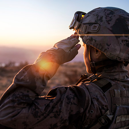Special Military Issue of the AIUS Journal of Research & Scholarship